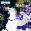 eihl playoff finals goal pucks