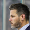 belfast giants continental cup