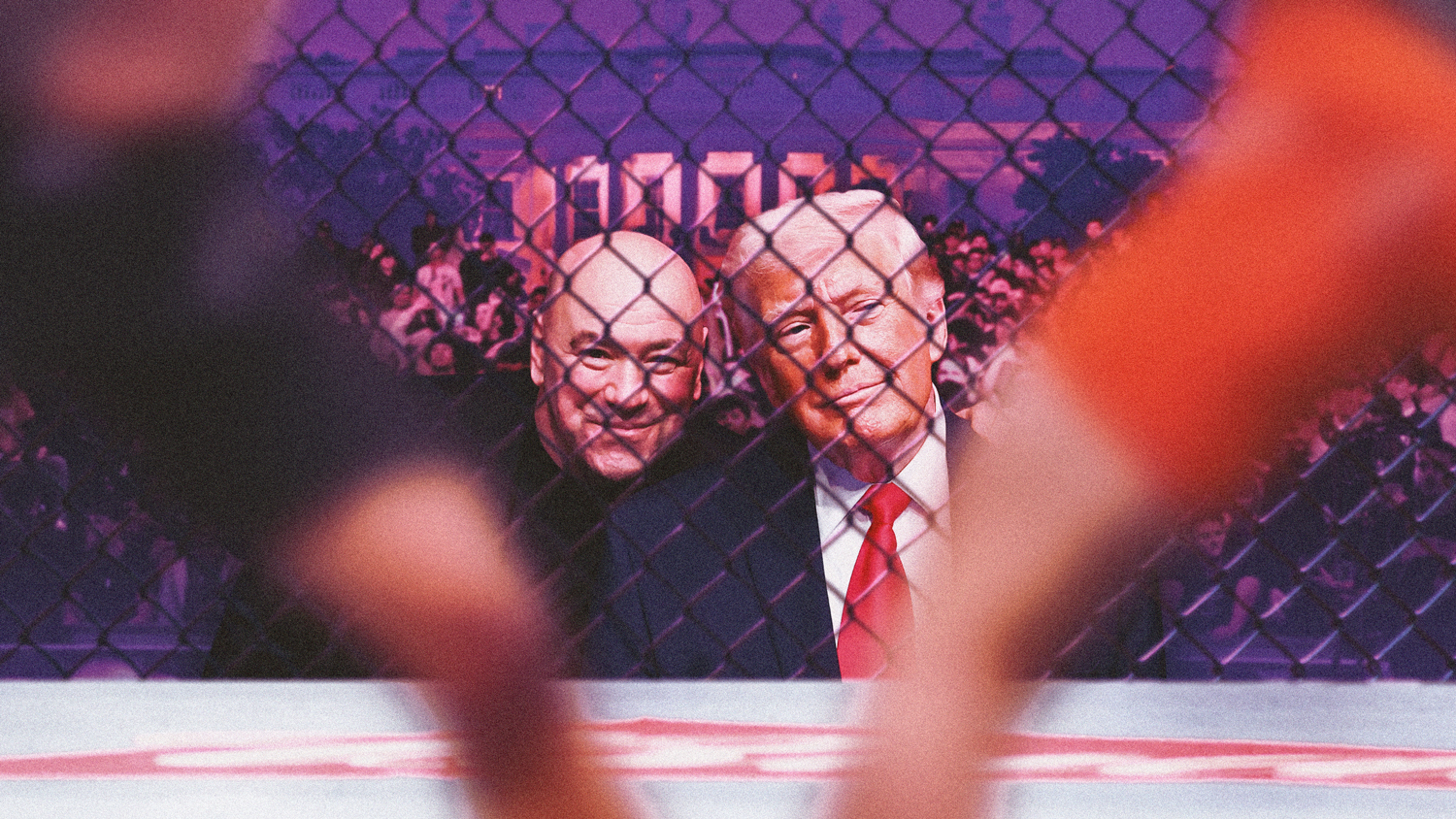 trump and dana white friendship