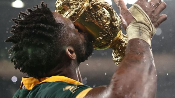 springboks rugby world cup