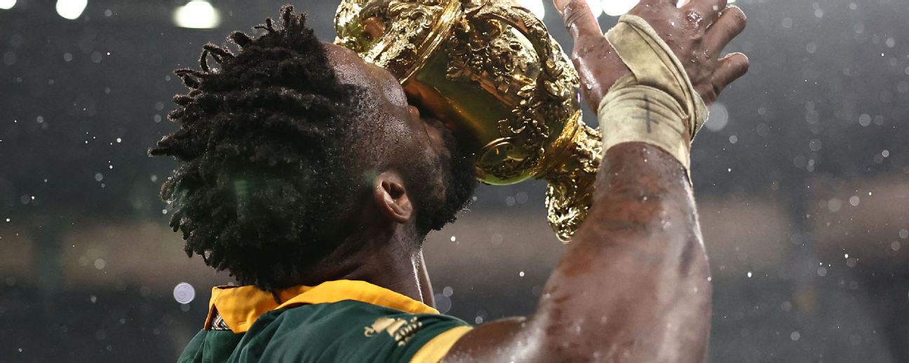 springboks rugby world cup