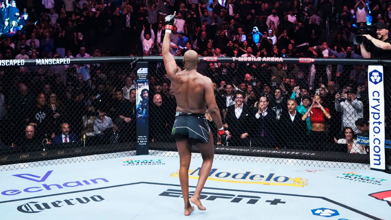 ufc heavyweight division